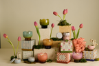 Cactus Flower | Tulip Collection