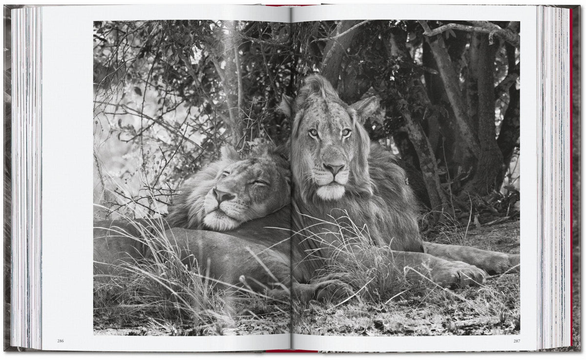 TASCHEN "Sebastião Salgado | Genesis" - 40th Anniversary Edition