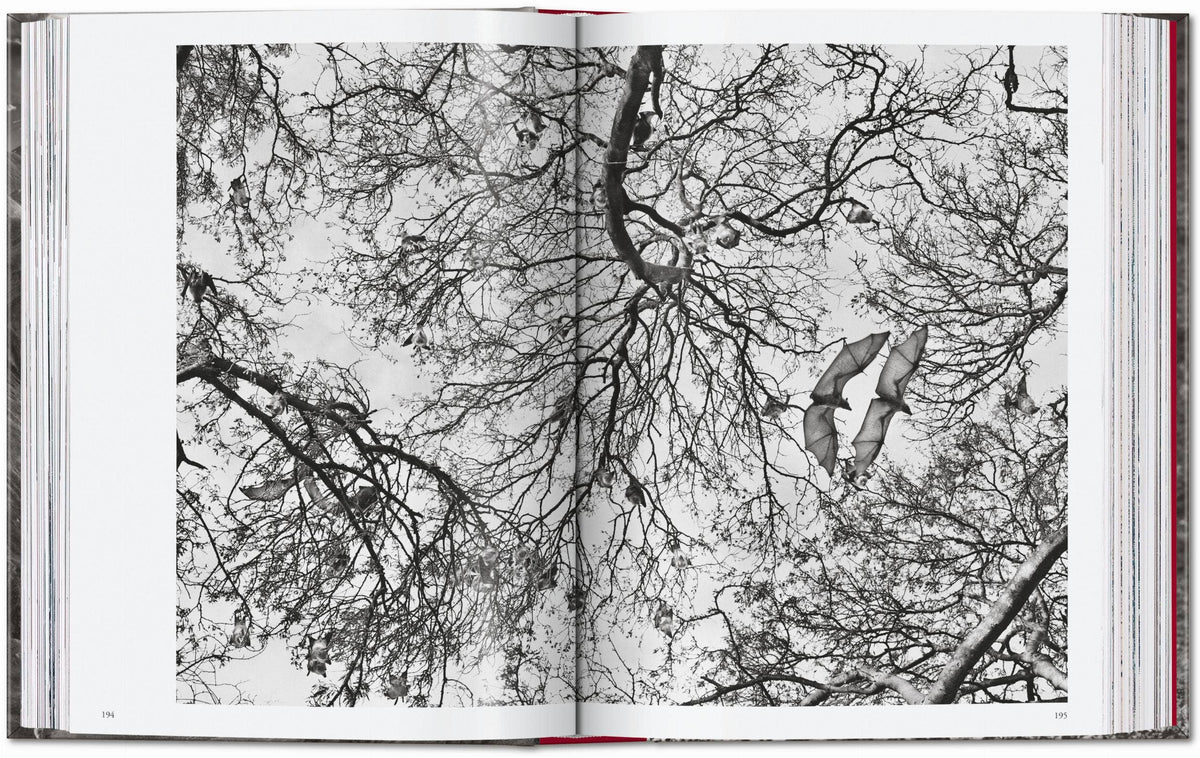 TASCHEN "Sebastião Salgado | Genesis" - 40th Anniversary Edition